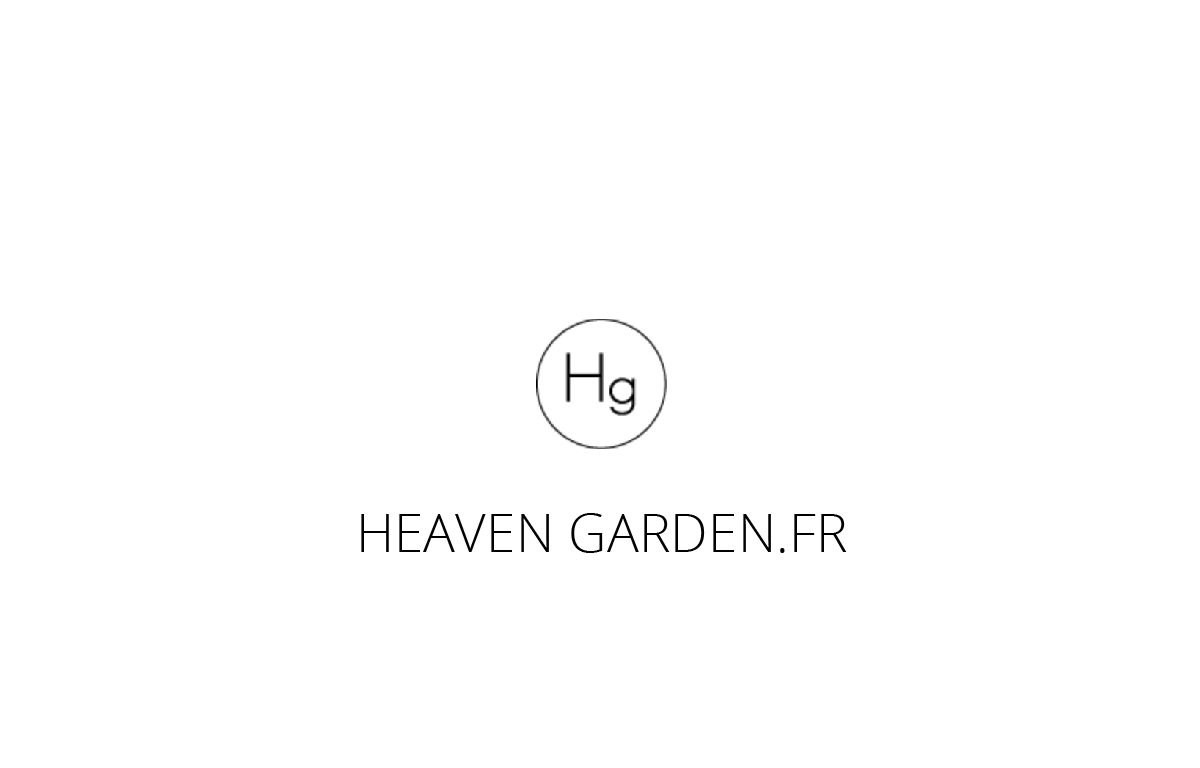 Location de plantes d'intérieur pour salons et événements d’entreprise avec décors haut de gamme à Ventabren et les Bouches-du-Rhône