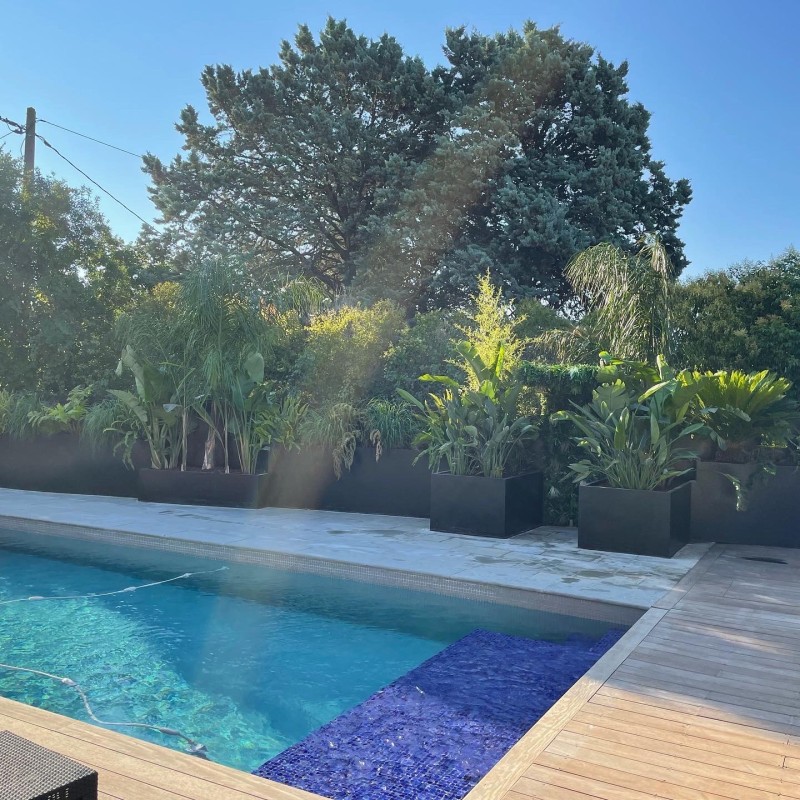 Aménagement d'un jardin plantes tropicales en jardinières  sur la commune de Bouc-Bel-Air
