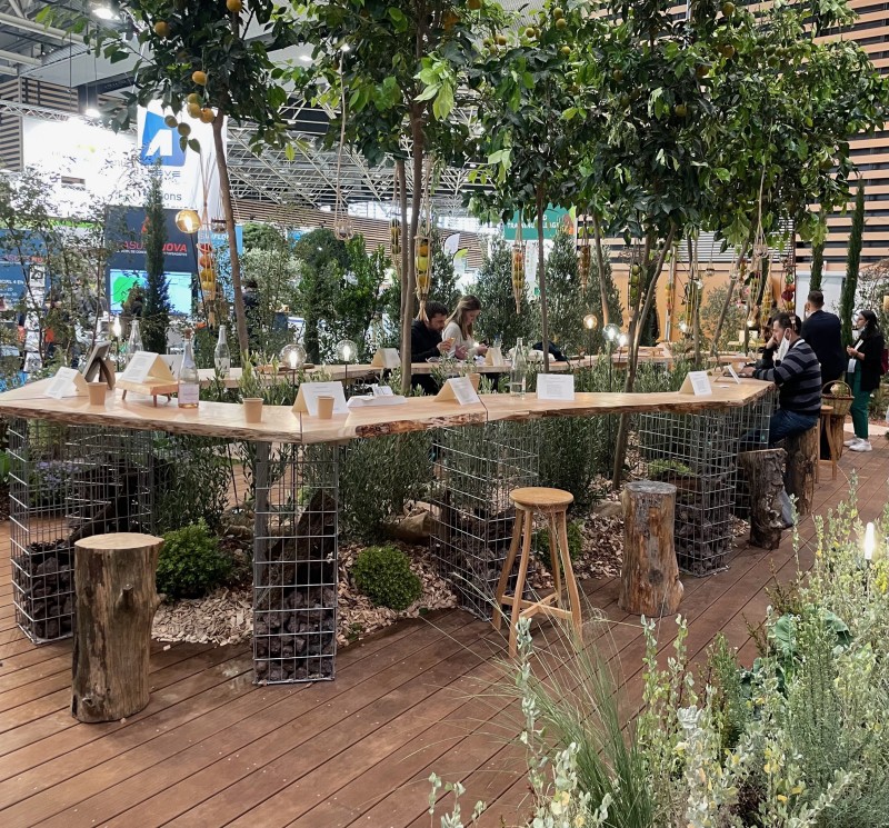 Location de plantes pour évènements professionnels à Marseille : Sublimez vos espaces avec des plantes naturelles