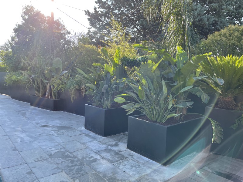 Aménagement d'un jardin plantes tropicales en jardinières  sur la commune de Bouc-Bel-Air
