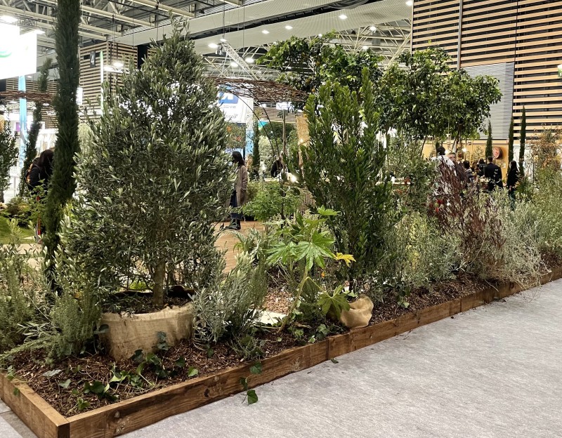Location de plantes pour évènements professionnels à Marseille : Sublimez vos espaces avec des plantes naturelles