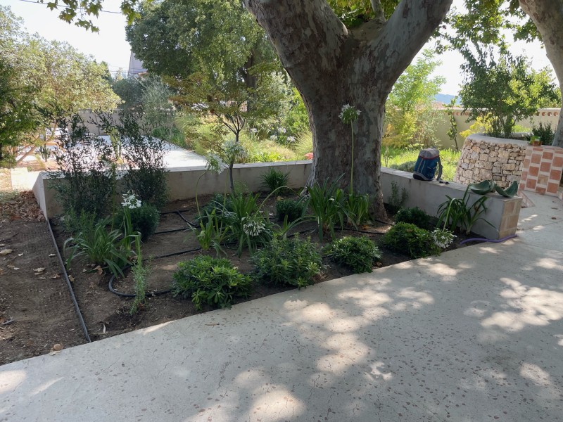 Aménagement d'un jardin sur mesure avec plantation en tour de piscine à Coudoux