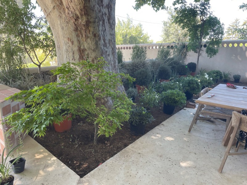 Aménagement d'un jardin sur mesure avec plantation en tour de piscine à Coudoux