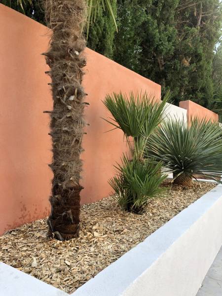 Création et aménagement d'un jardin dans la commune de Saint-Tropez