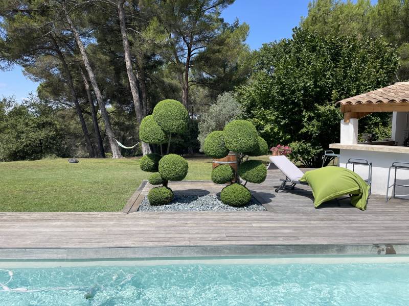 Taille d'arbuste sur mesure en forme de boule par un professionnel sur la commune d'Eguilles