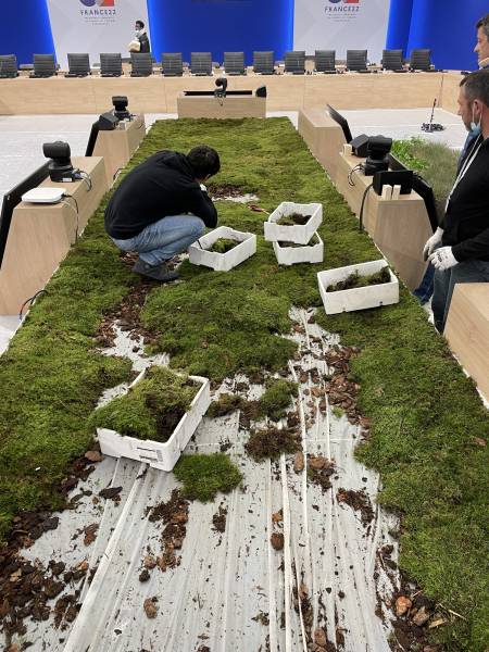 Location et mise en place de plantes pour le conseil de l'Union Europeene à Paris