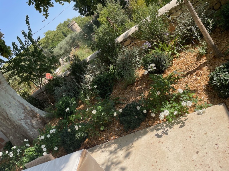 Aménagement d'un jardin sur mesure avec plantation en tour de piscine à Coudoux