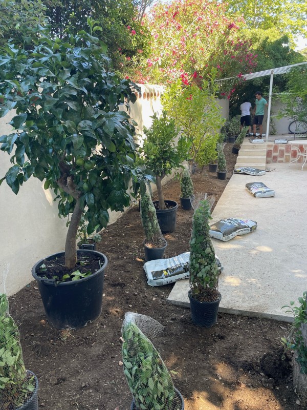 Aménagement d'un jardin sur mesure avec plantation en tour de piscine à Coudoux